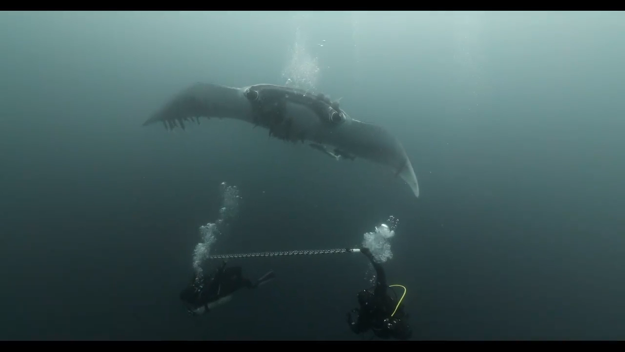 alex-and-carlos-with-camera-and-manta-1